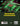 Electric Circuits & Electron Devices (Engineering Reference Books)