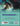 Electrical Machine-I for GTU 18 Course (IV- ELECTRICAL - 3140913)