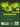 Operating System  for GTU 24 Course (SEM-III - BC03001011)